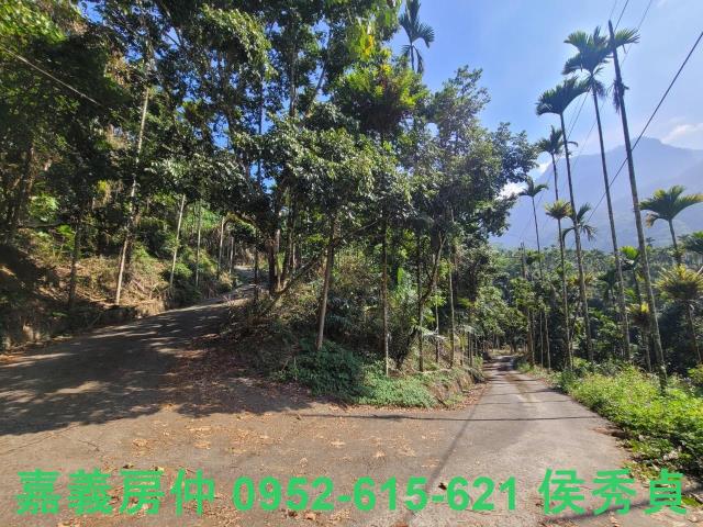 番路農地-8