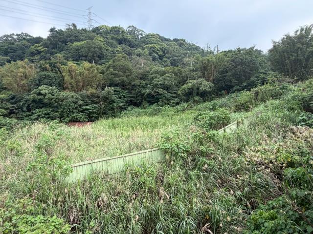 桃園龜山建地-8