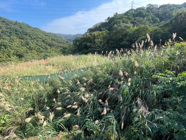 桃園龜山建地-3