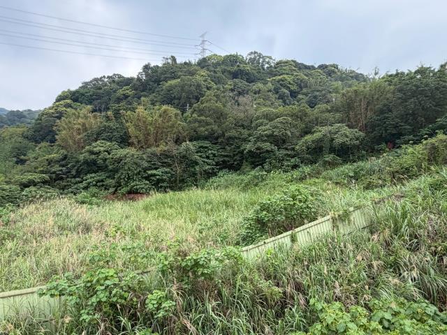 桃園龜山建地-9