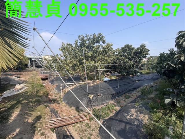 南投農地-3