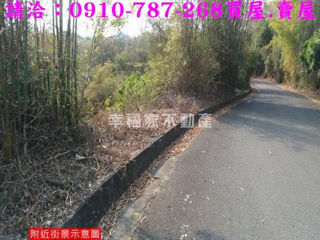台南龍崎林地-14