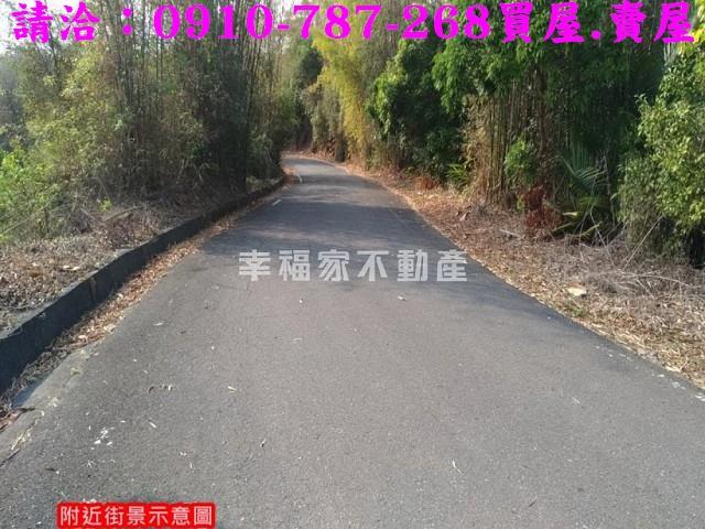 台南龍崎林地-2