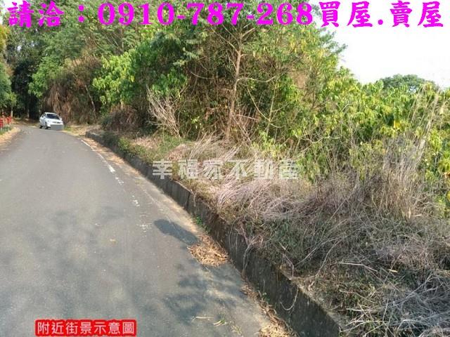 台南龍崎林地-4