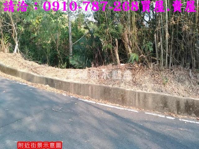 台南龍崎林地-5