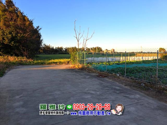 桃園龍潭農地-10