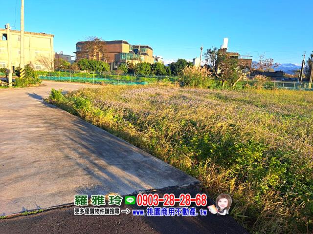 桃園龍潭農地-12