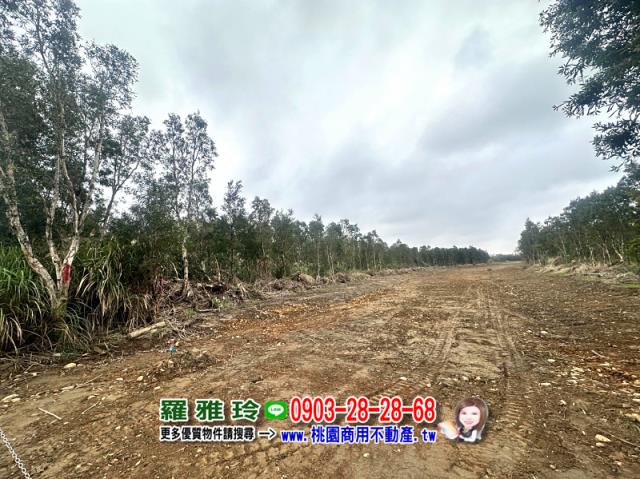 桃園觀音農地-2