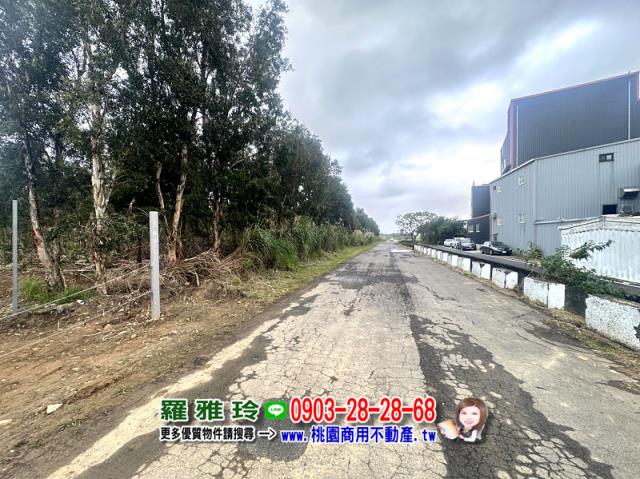 桃園觀音農地-3