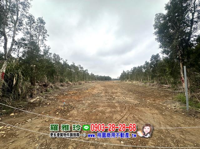 桃園觀音農地-4