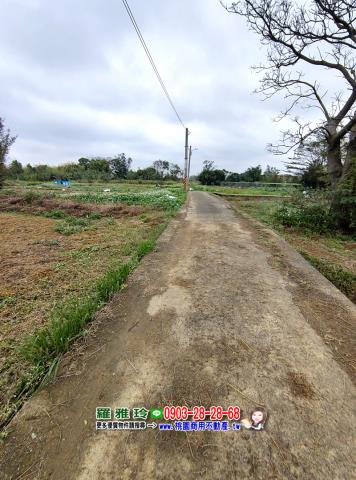 中壢農地-8