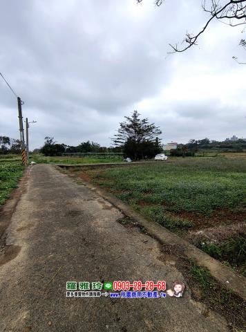 中壢農地-9