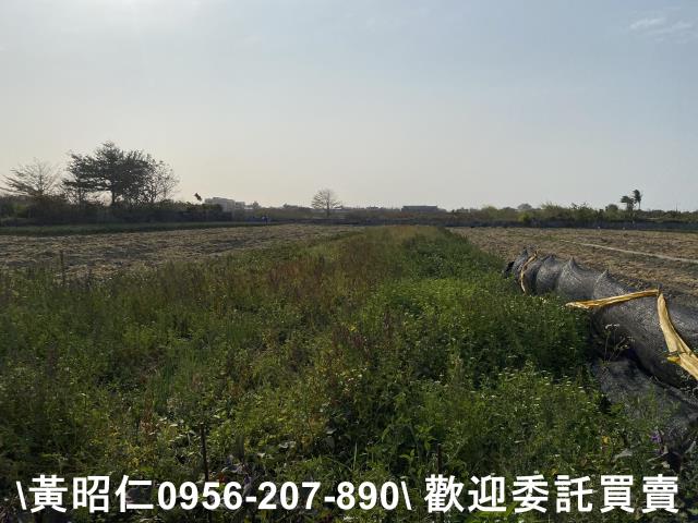 台南安南農地-2
