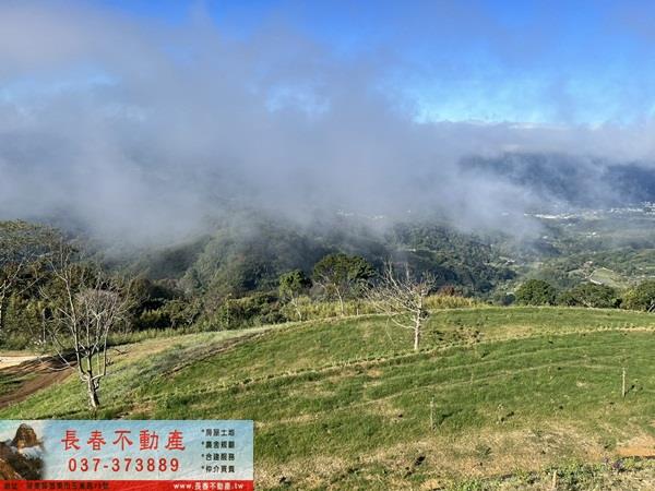 大湖農地-1