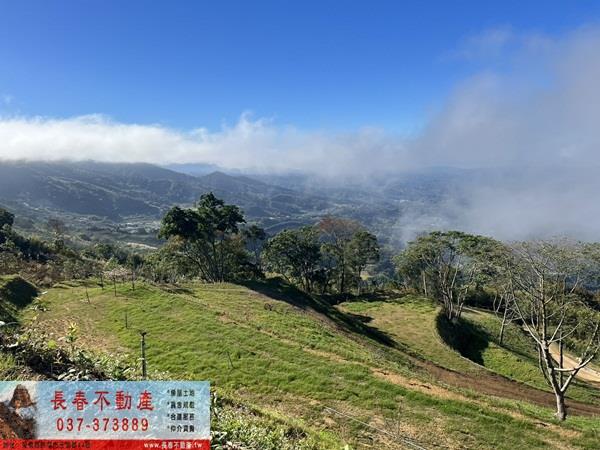 大湖農地-2