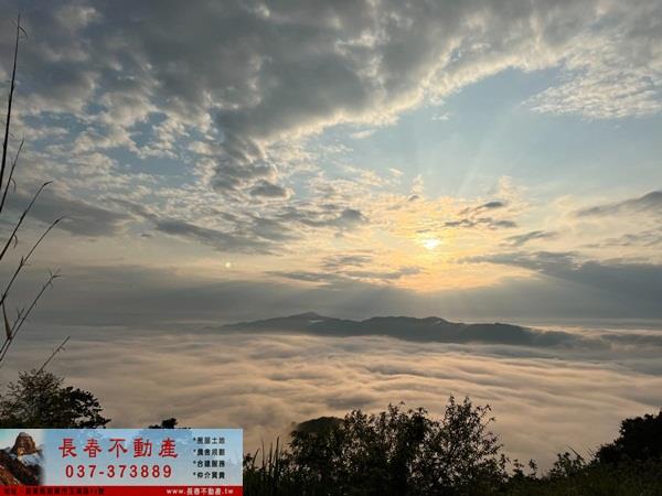大湖農地-3