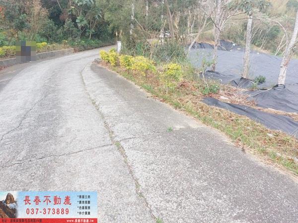 西湖農地-4