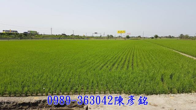 虎尾農地-4
