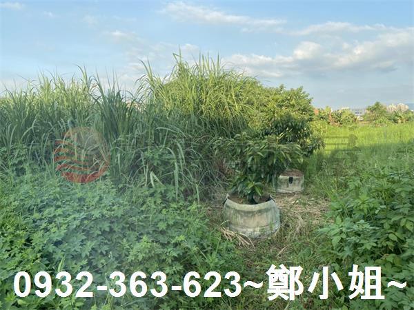 桃園八德農地-10