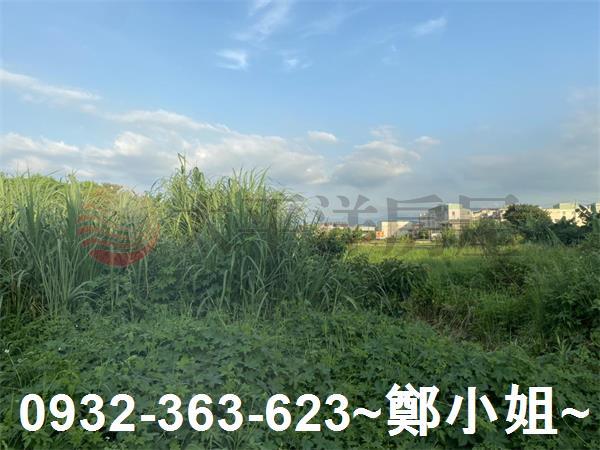 桃園八德農地-7