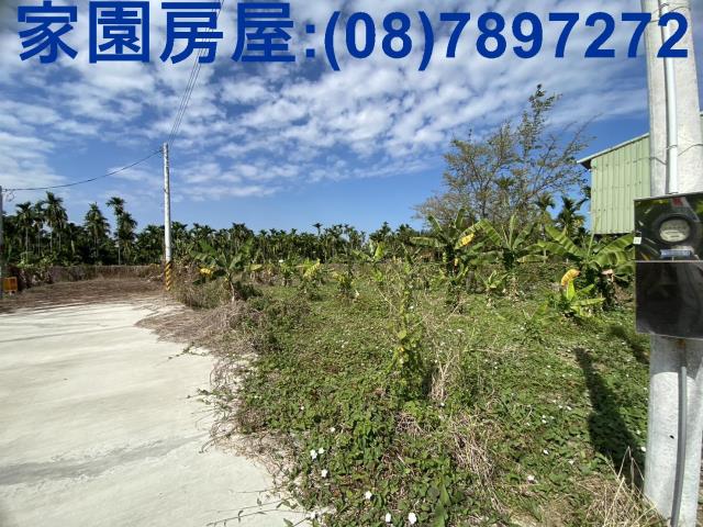 屏東農地-1