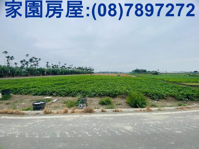 屏東新園農地-2