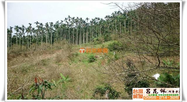 中埔農地-2