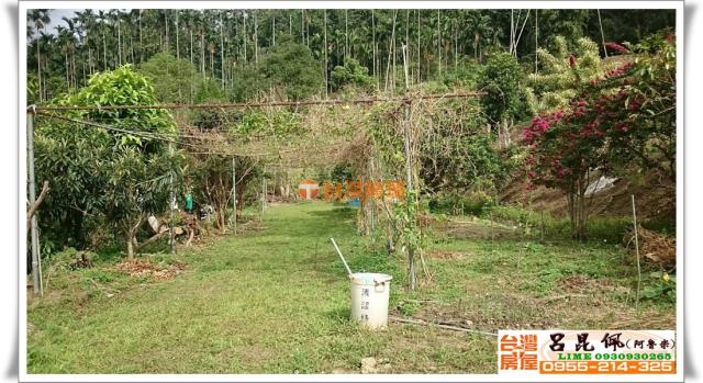 中埔農地-5
