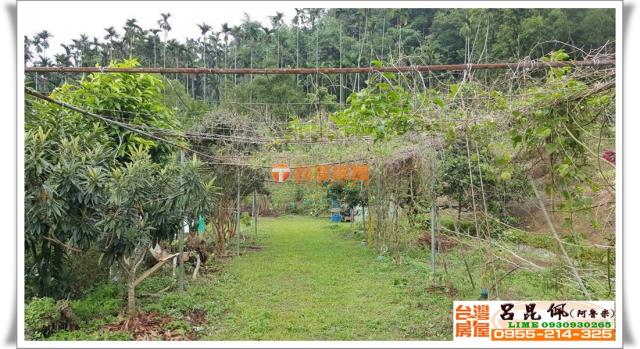 中埔農地-9