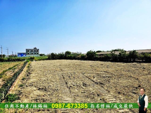 將軍建地-1