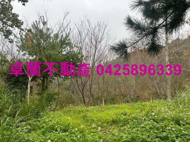 苗栗農地-2