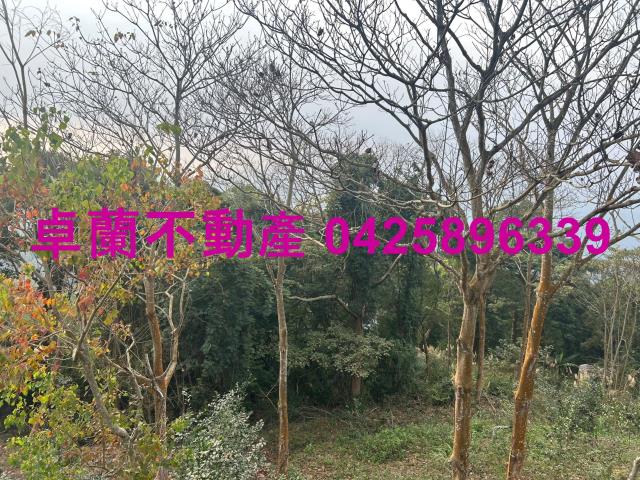 苗栗農地-5