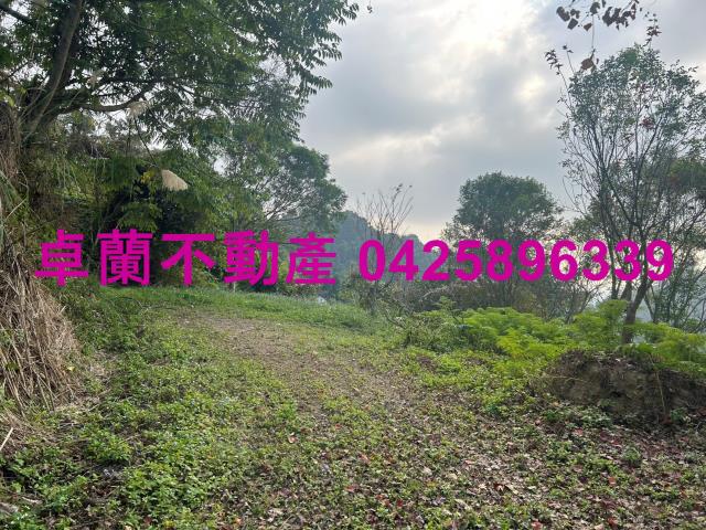 苗栗農地-6