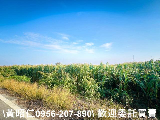 新營農地-4