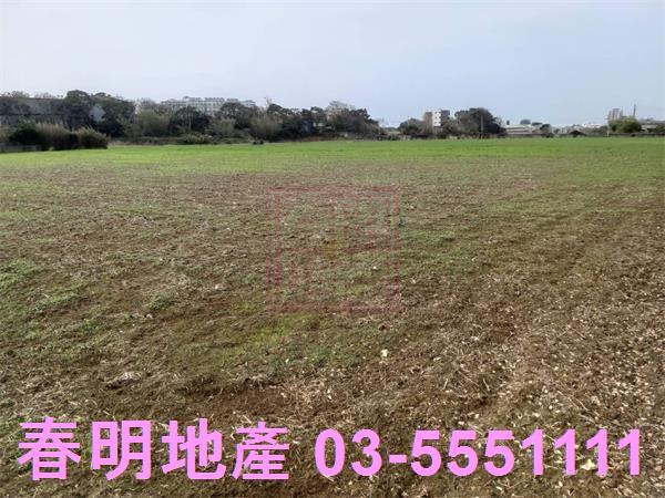 新竹新豐農地-8