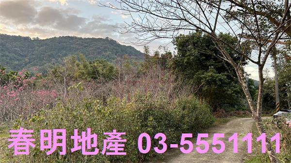 北埔農地-12
