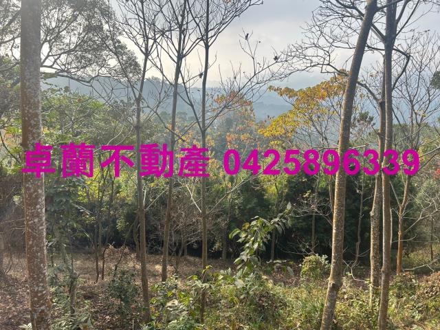 大湖山坡地-11