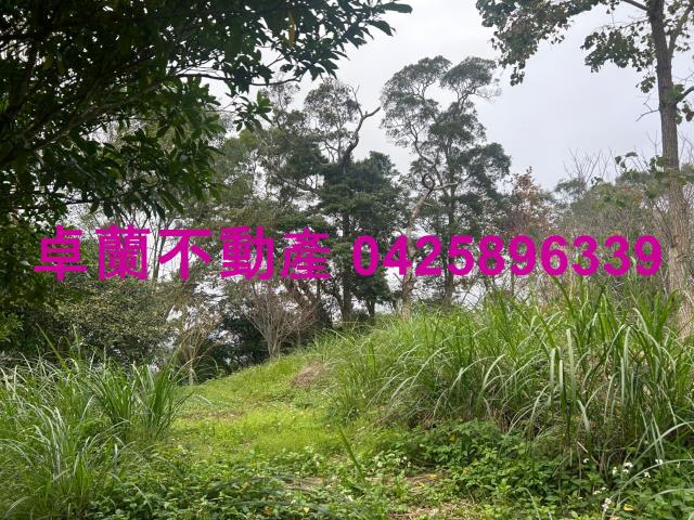 大湖山坡地-3