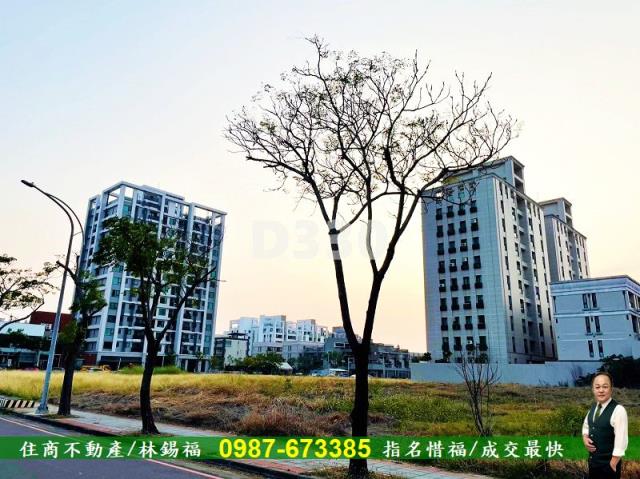 台南善化農地-1