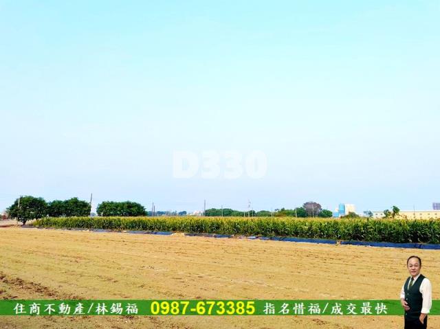 台南善化農地-4