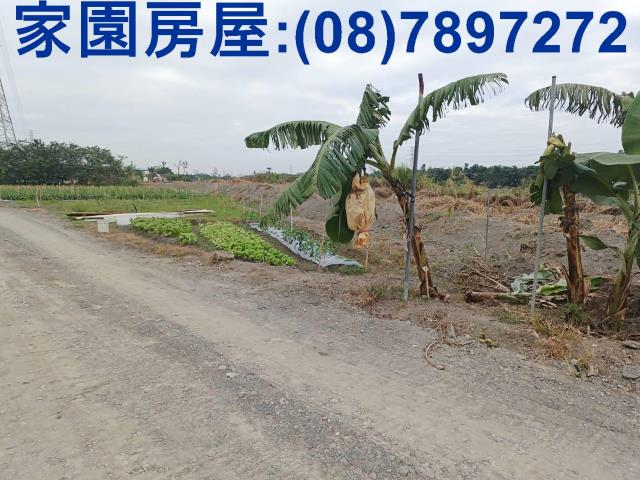 屏東潮州農地-2