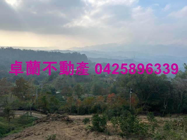大湖農地-13