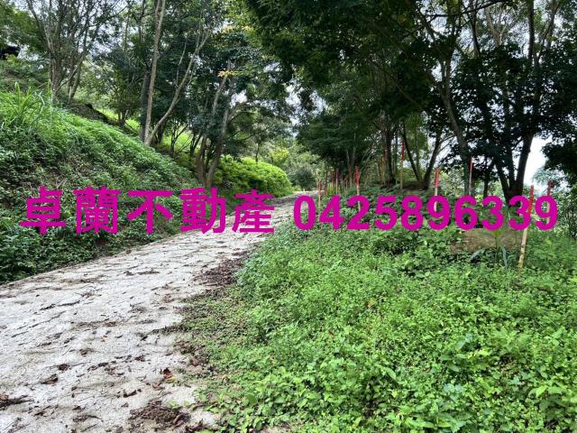 大湖農地-9
