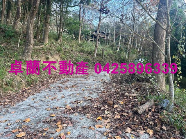大湖山坡地-3