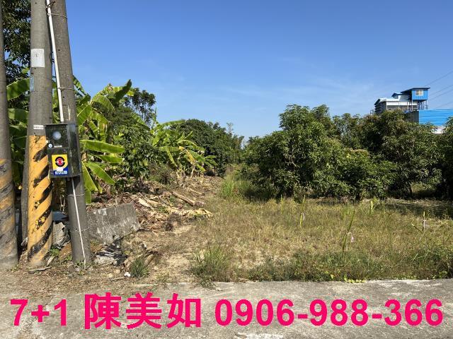 高雄大社農地-1