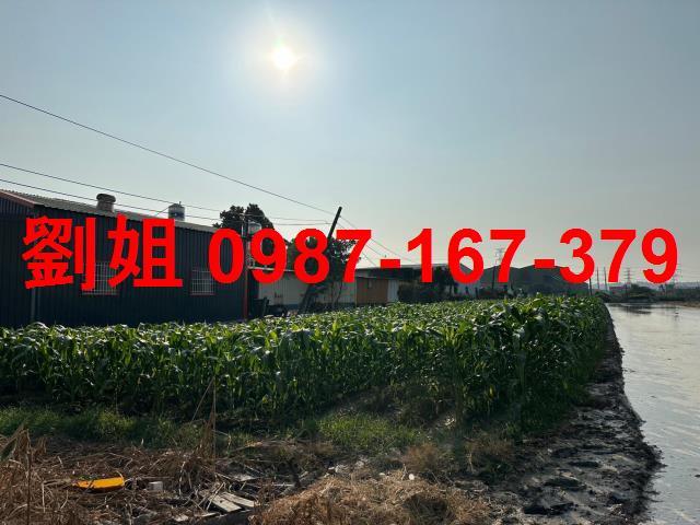 高雄大寮農地-1