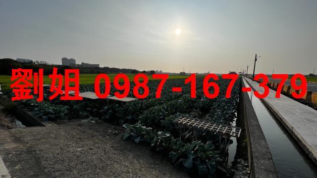 高雄橋頭農地-1