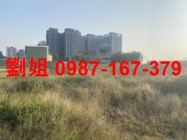 高雄橋頭農地-1