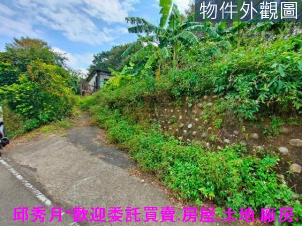 新北農地-4