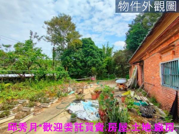 新北農地-5